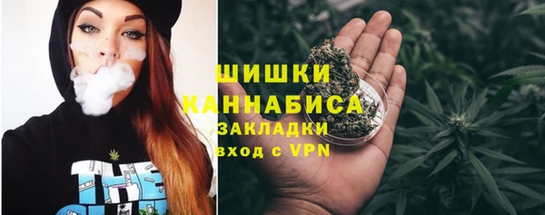 спайс Каменка