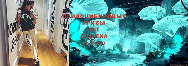 спайс Каменка