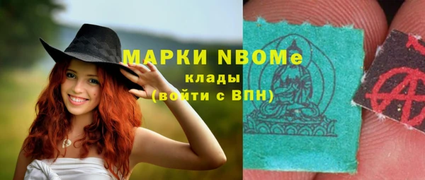 спайс Каменка