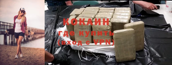 спайс Каменка