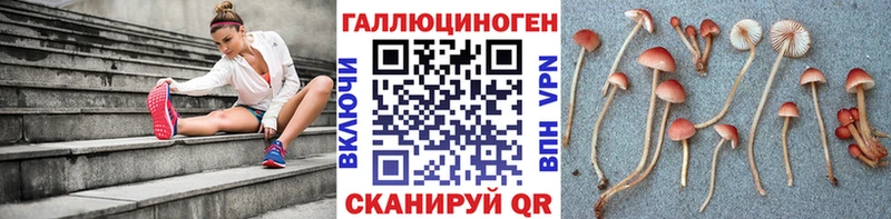Псилоцибиновые грибы мицелий  Купить где  Давлеканово 